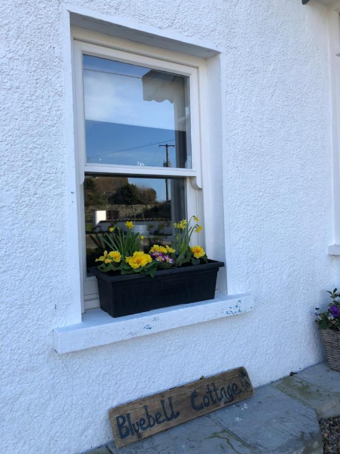 Bluebell Cottage Kilmore Quay Eksteriør billede
